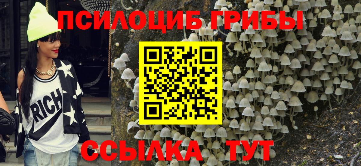 Псилоцибиновые грибы Psilocybe  Вход с VPN  купить наркотики сайты  Миллерово  Галлюциногенные грибы MAGIC MUSHROOMS 
